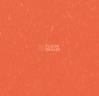 Линолеум Forbo Marmoleum Solid Piano 3651-365135 zinnia фото 1 | FLOORDEALER